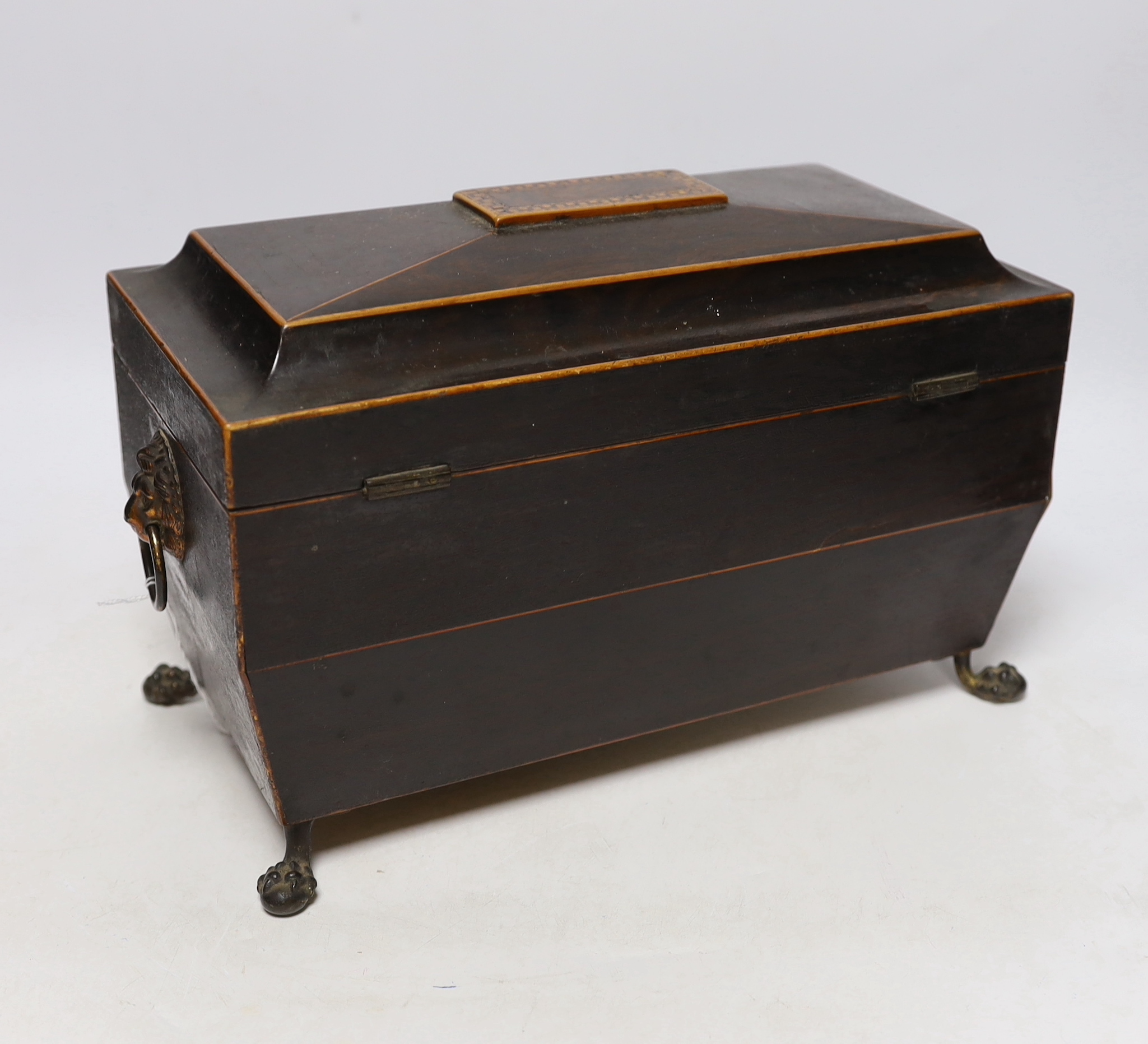 A Regency inlaid rosewood tea caddy, with two canisters, gilt brass handles and claw feet, 20cm high